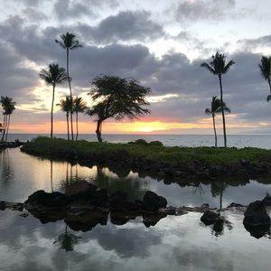 Meet your Posher, Sheri